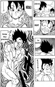 Dragon Ball H