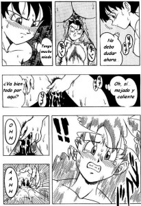 Dragon Ball H