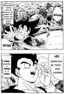 Dragon Ball H