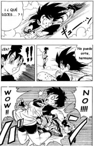 Dragon Ball H