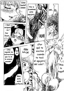 Dragon Ball H