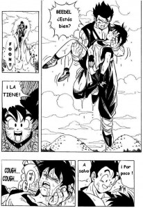 Dragon Ball H