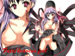 Fate Stay Nigth