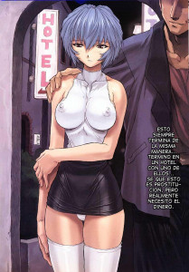 Ayanami Student Compilation