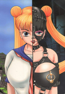 Anime Fiction
