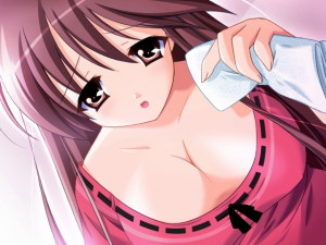 Doki Doki Oneesan