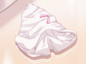 Doki Doki Oneesan