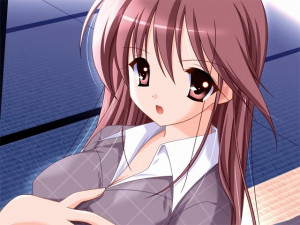 Doki Doki Oneesan