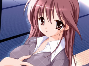 Doki Doki Oneesan