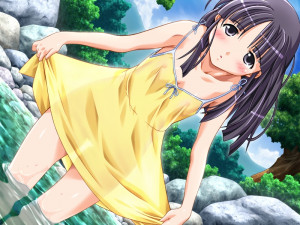 Boku No Natsuyasumi Taiken