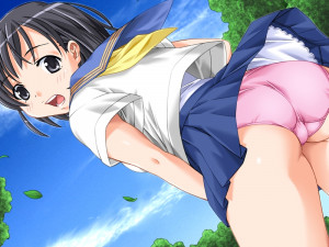 Boku No Natsuyasumi Taiken