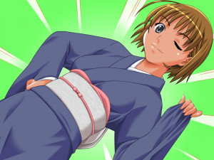 Boku No Natsuyasumi Taiken