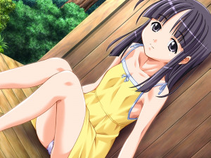 Boku No Natsuyasumi Taiken
