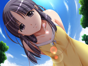 Boku No Natsuyasumi Taiken