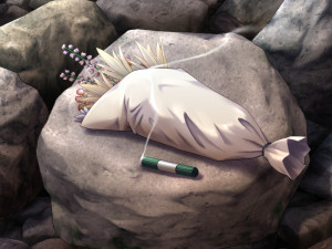 Boku No Natsuyasumi Taiken