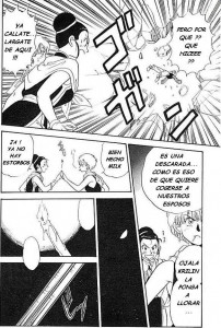 Chichi Bulma 18