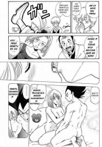 Chichi Bulma 18