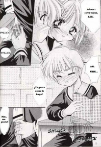 The Illustrated Diaries Of Sakura