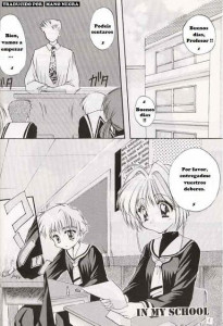 The Illustrated Diaries Of Sakura