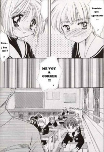 The Illustrated Diaries Of Sakura