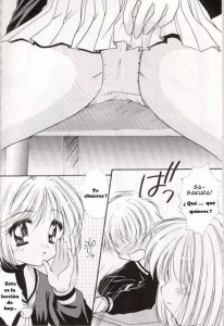 The Illustrated Diaries Of Sakura
