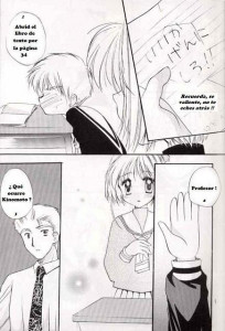 The Illustrated Diaries Of Sakura
