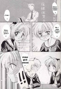 The Illustrated Diaries Of Sakura