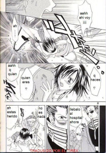 Los Sentimientos De Sayuri