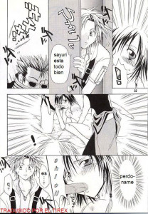 Los Sentimientos De Sayuri