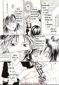Los Sentimientos De Sayuri