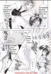 Los Sentimientos De Sayuri