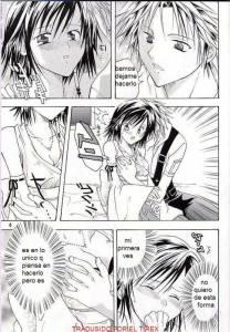 Los Sentimientos De Sayuri