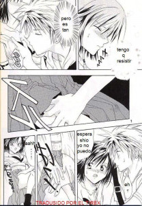 Los Sentimientos De Sayuri