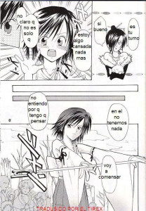 Los Sentimientos De Sayuri