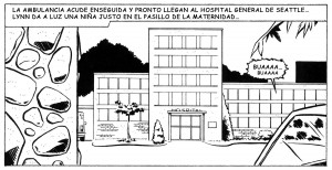 Amas De Casa