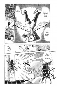 Bondage Fairies