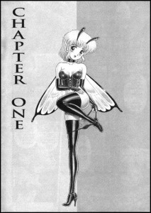Bondage Fairies