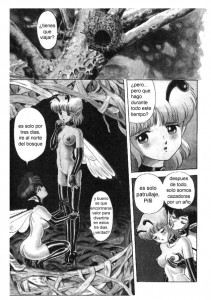 Bondage Fairies